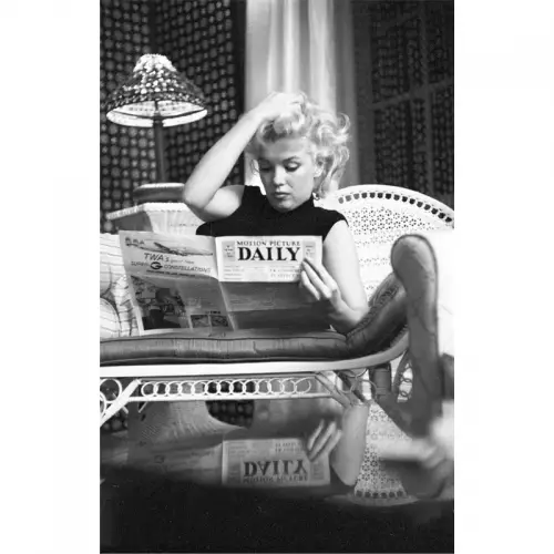 Bild Monroe Daily 98x2x148cm Dibond