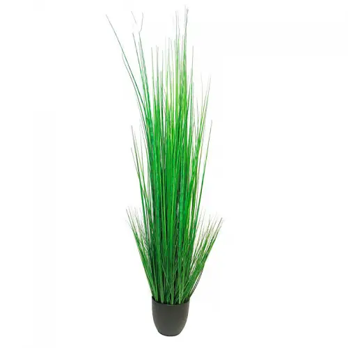 King Festuca In Pot 30x30x150cm