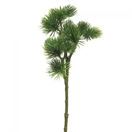 Pinus Spray Mugo Grün 58cm