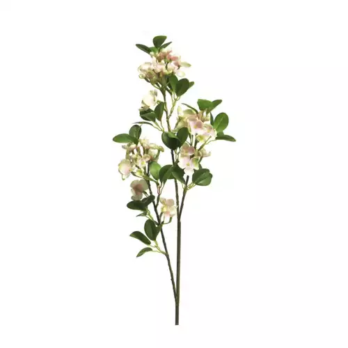 Wilde Seringa Auke rosa 65cm