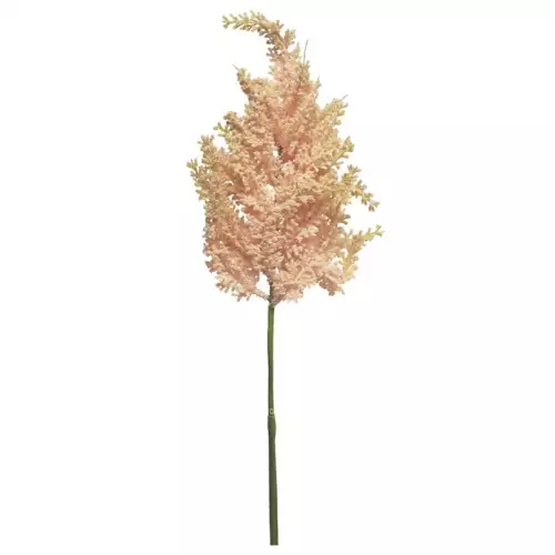 (Best) Astilbe Spray rosa 70cm