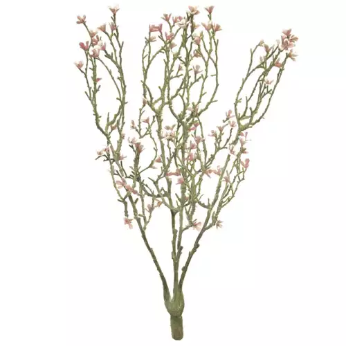(Best) Mini-Sternblumenstrauch rosa 44cm
