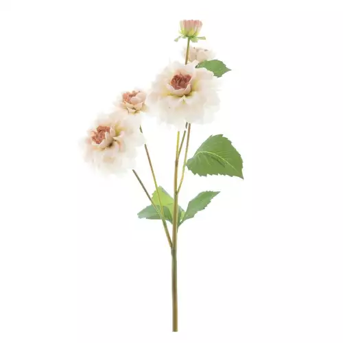 Dahlienspray offene Augen orange 60cm