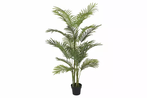 By Kohler Palm 150cm 21L (201536)