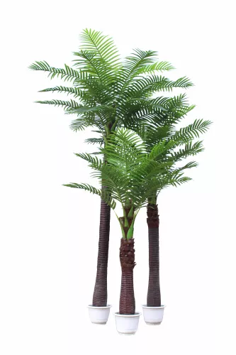 By Kohler Coco Palm Tree 250cm (201537)