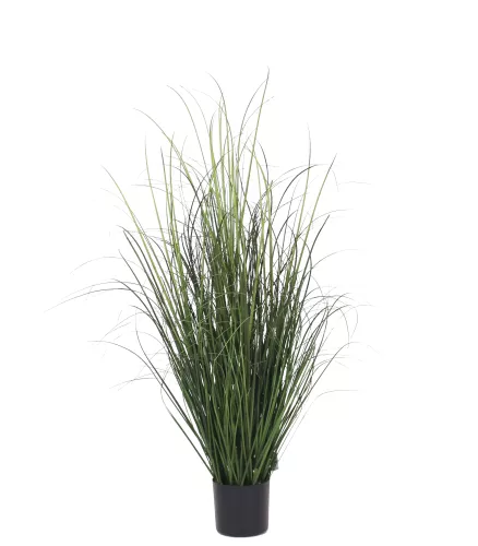 By Kohler Onion Grass 95cm (201540)