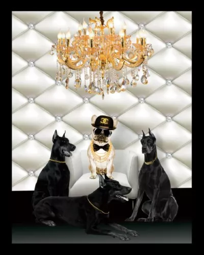 By Kohler LV Chihuahua 60x80cm Black Frame (201587)
