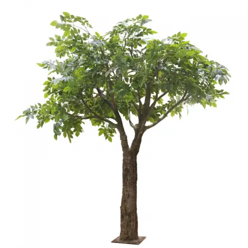 Riesen Ficus Baum grün 160x160x230cm Riesen Ficus Baum grün 160x160x230cm